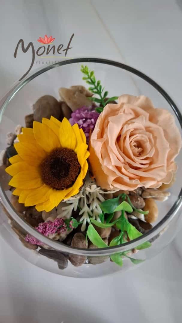 Flor Preservada doble en Pecera