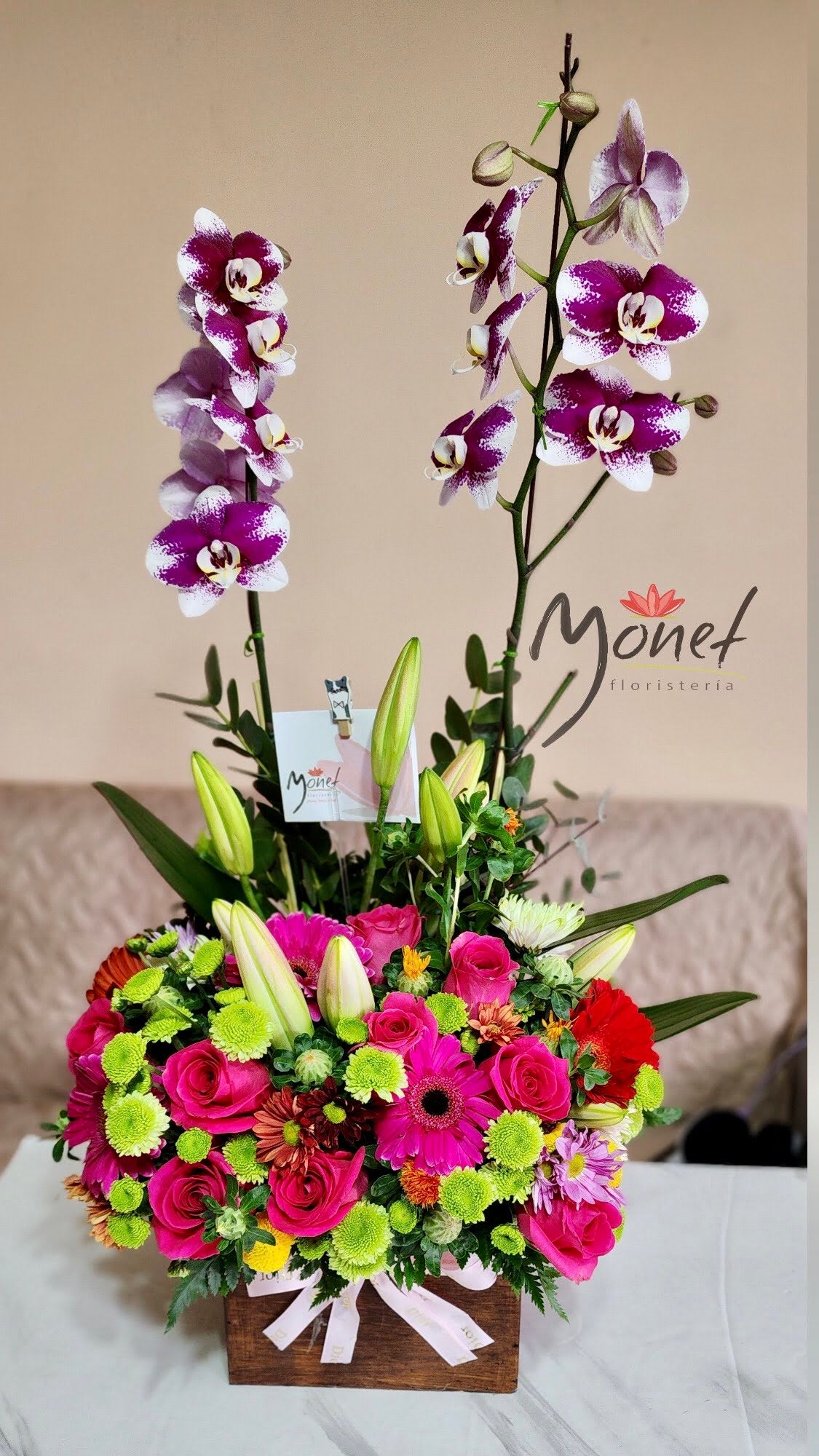 Orquidea Primaveral