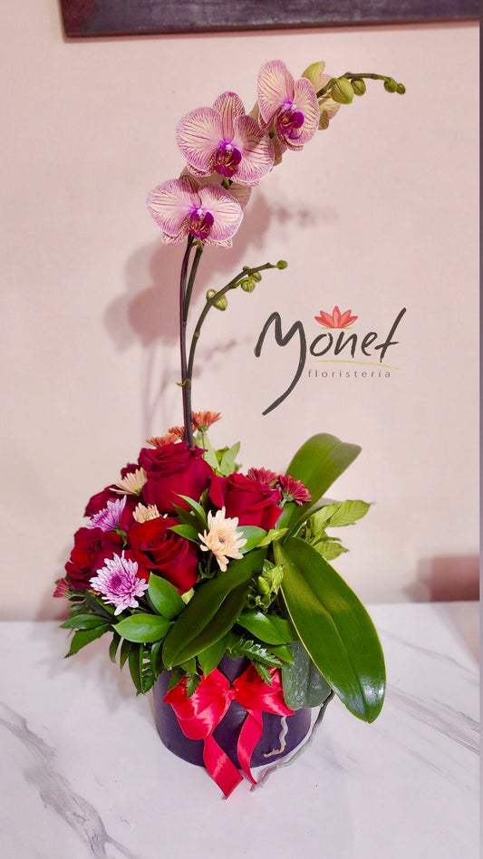 Orquídea con 6 rosas