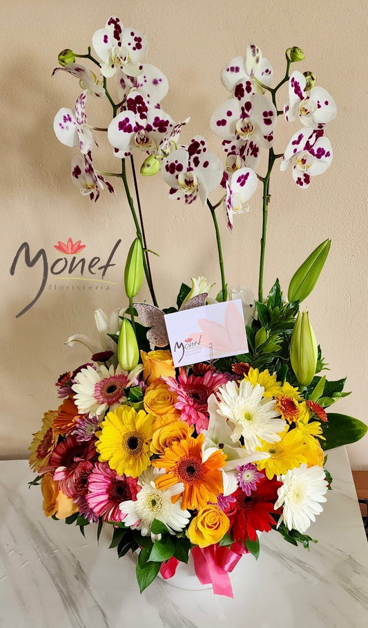 Orquídea triple primaveral
