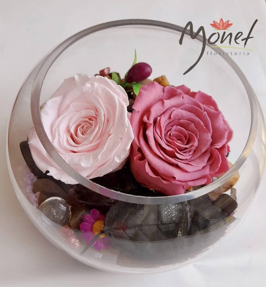 Rosa Doble en pecera