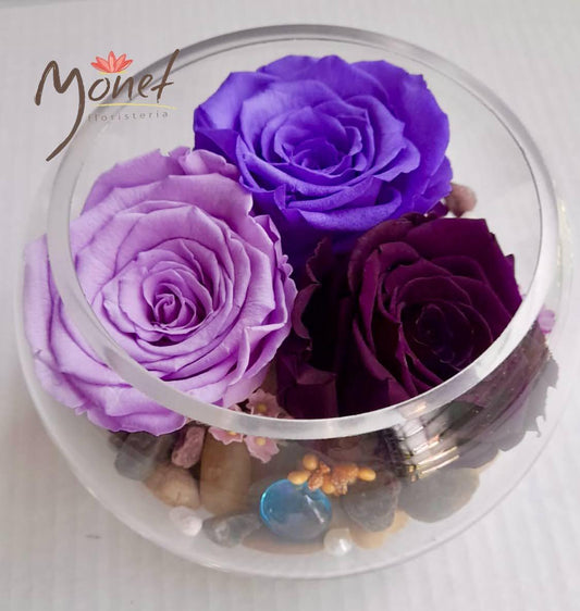Rosa Preservada triple en pecera