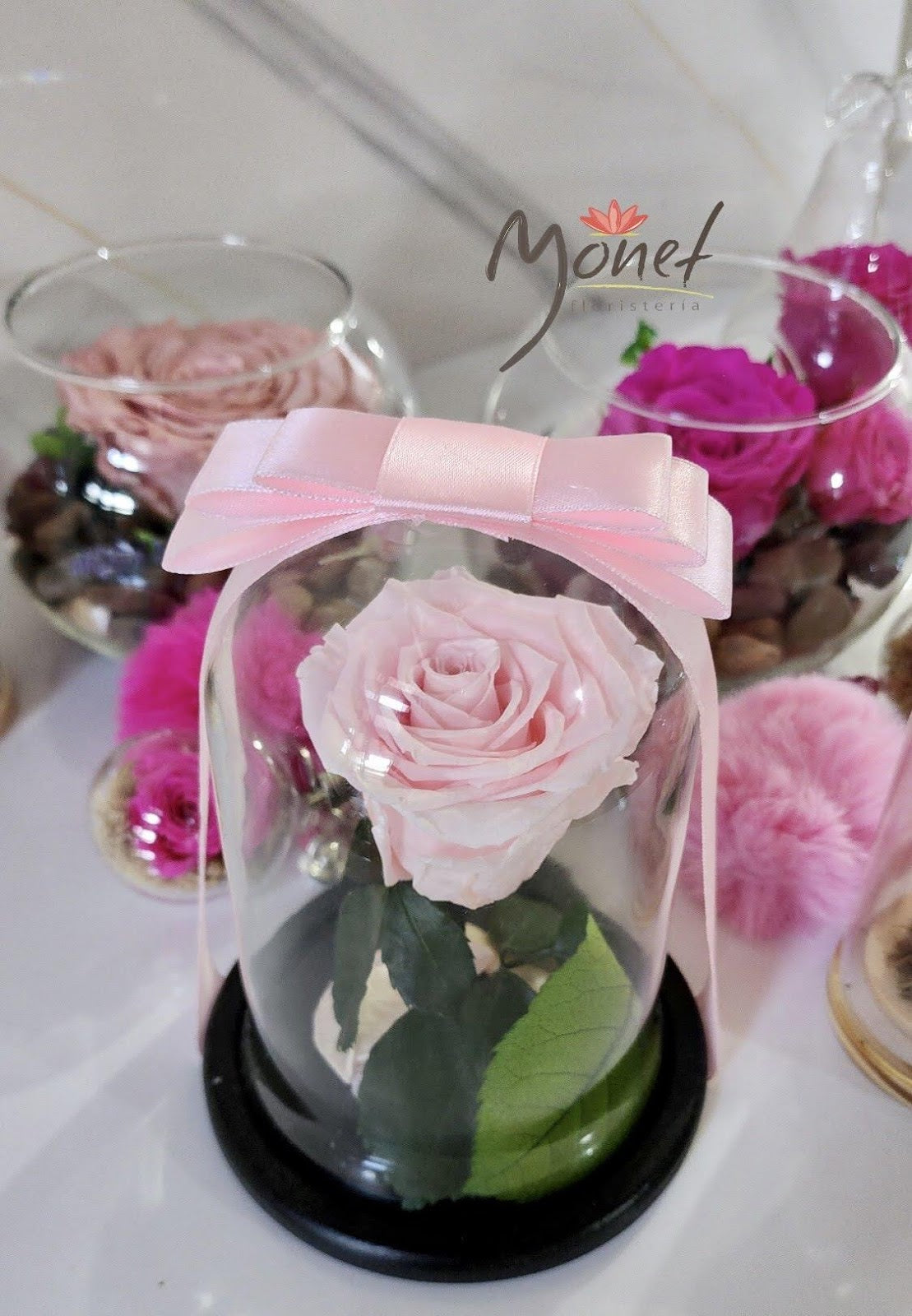 Rosa Preservada en domo