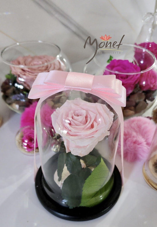 Rosa Preservada en domo