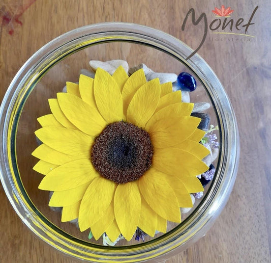 Girasol Preservado en Pecera