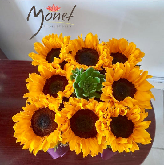 Arreglo en base cuadrada con Girasoles y Suculenta 