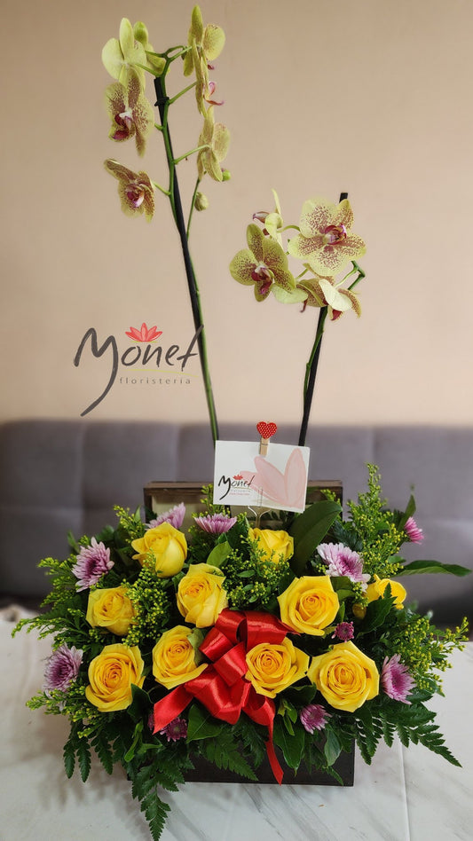 Orquídea en cofre de madera